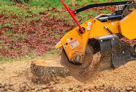 Best Stump Grinding and Removal  in Ben Lomond, CA